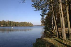a view of a large lake with trees on the shore at Ferienapartment am See mit Yogaraum und Kajak SUP Verleih in Heidesee