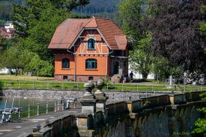 a house in the middle of a lake with ducks in it at Haus am See in Tambach-Dietharz