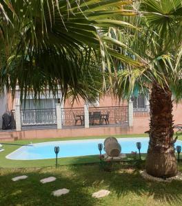 a palm tree sitting next to a swimming pool at Villa provençale climatisée avec piscine privée in Saint-Gilles