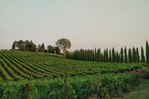 Imagen de la galería de Villa Nottola, en Montepulciano