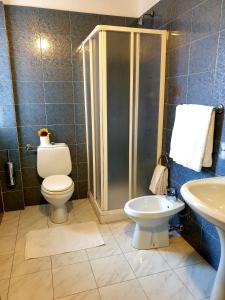 ラ・マッダレーナにあるRiccio Hotelのバスルーム(シャワー、トイレ、シンク付)