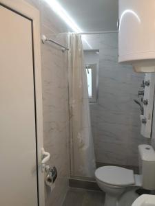 a bathroom with a white toilet and a shower at Apartman Azzuro Vrnjačka Banja in Vrnjačka Banja