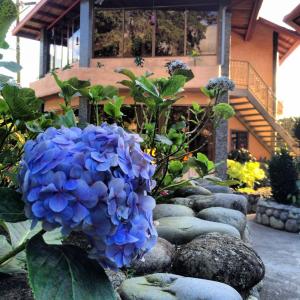Jardí fora de The Inn at Palo Alto