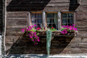 Zahrada ubytování Gasthaus Edelweiss