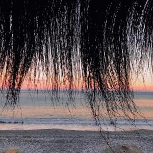 a view of a beach with a bunch of hair at Datca Masal Gibi Plaj&Restaurant in Datca