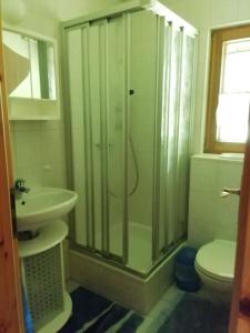 ホルンベルクにあるFerienwohungen im Kuchersbachのバスルーム(シャワー、トイレ、シンク付)