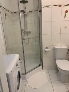 Kúpeľňa v ubytovaní Apartament Halina + 12 fotografií