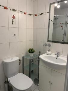 Kúpeľňa v ubytovaní Apartament Halina