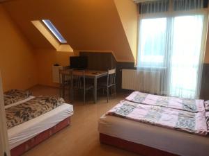 Pokój z 2 łóżkami, biurkiem i oknem w obiekcie Apartman Sas 6 w Hajduszoboszlo