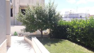 un albero in un cortile accanto a un edificio di La Talega a Otranto