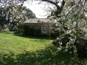 A garden outside LI PIREDDI