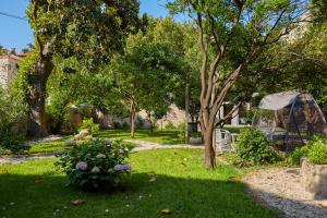 Zahrada ubytování Apartment Villa Ahava Buža