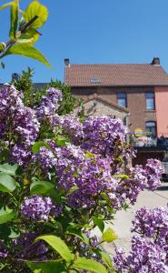 un arbusto de flores púrpuras frente a un edificio en La Maison de Manon 