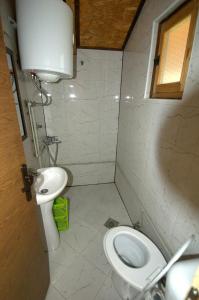 a small bathroom with a toilet and a sink at Ethno Village Koljeno Camp & Bungalows in Andrijevica