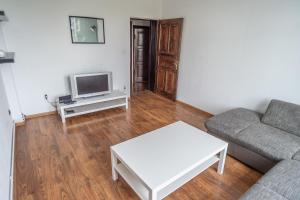 Apartament blisko Starego Miasta في غدانسك: غرفة معيشة مع أريكة وتلفزيون