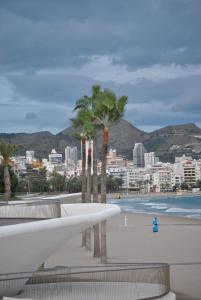 a view of a beach with palm trees and a city at Las Damas Piso18 in Benidorm