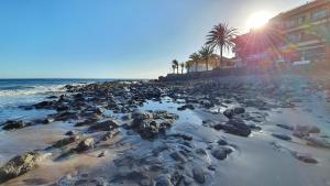 plaża z kamieniami, palmami i oceanem w obiekcie ALAYNA´S HOMES w mieście Valle Gran Rey