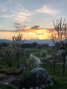 Spodnji OtokにあるApartma Romanaの木の畑の夕日