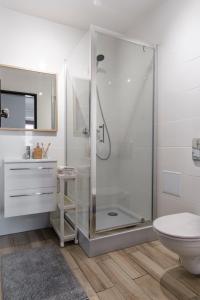 a bathroom with a shower with a toilet and a sink at Apartamenty Dune in Jastarnia