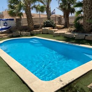 a blue swimming pool with palm trees in a yard at Villa Elie in Eilat