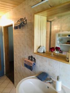 a bathroom with a sink and a mirror at Ferienwohnung „Am Gnaucks Hutberg“ in Hohnstein +69 photos