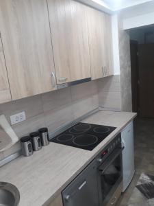 O bucătărie sau chicinetă la Apartman Lara
