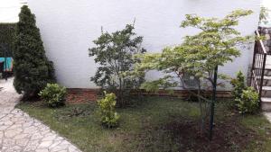 Zahrada ubytování Apartments Svjeta