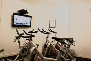 Fitness centrum a/nebo fitness zařízení v ubytování Hotel Chez Swann