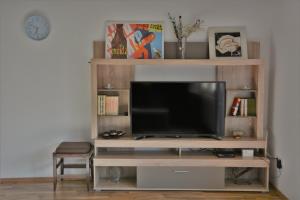 a television on a wooden shelf in a living room at Guest House Blue Views in Plav