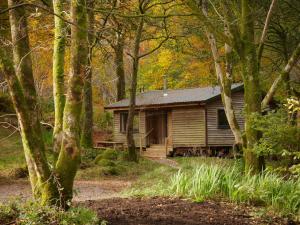 an old cabin in the woods with trees at Woodland Cabins, Glencoe in Ballachulish