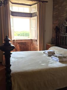 阿爾蘇阿的住宿－O Pazo da Briona，一间卧室设有一张大床和窗户
