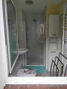 a bathroom with a shower and a toilet and a sink at Gästehaus am Teich in Raben Steinfeld +52 photos