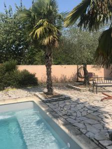 una piscina con una palmera en un patio en MAISON LOFT avec beaucoup de charme, en Muret