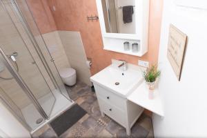 een badkamer met een douche, een wastafel en een toilet bij Ferienwohnung s' Plätzli in Freiamt