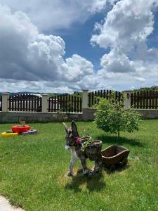 Galeriebild der Unterkunft Вили Чала in Chala + 31 Fotos