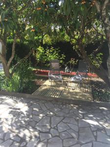 zwei Stühle auf einer Terrasse unter einem Baum in der Unterkunft Gîte Le Lavandin in Volonne