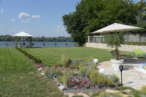 a garden with plants and an umbrella next to the water at Vila Lily in Smederevo