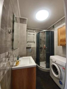 プウォツクにあるApartament 27のバスルーム(シンク、洗濯機付)