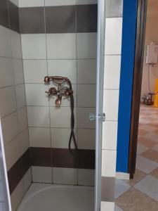 um chuveiro com uma mangueira na casa de banho em Studio BLU em Xylophaghou