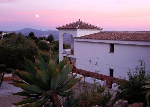 a house with a plant in front of it at Casa Arts guest rooms in Alcaucín