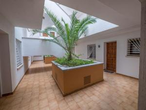 Kép Fabulous apartment ideal for families, near the beach szállásáról L' Escalában a galériában