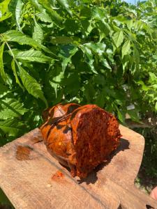 a piece of food sitting on a wooden cutting board at B&B A casa di Picci in Santa Domenica