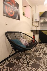 a cat sitting in a hammock in a room at Schrott Bed&Beer in Brno