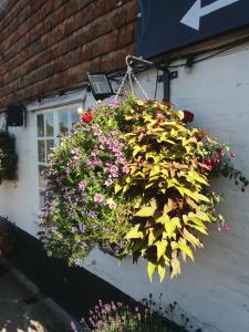 Galeriebild der Unterkunft The Maidens Chambers in Canterbury