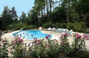 a swimming pool with people in it with pink flowers at Château De L'aubrière - Teritoria in Tours