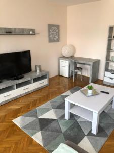 Televízia a/alebo spoločenská miestnosť v ubytovaní Szeged Gyöngye