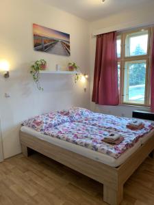 een slaapkamer met een bed in een kamer met een raam bij Penzion MAR in Hradec Králové