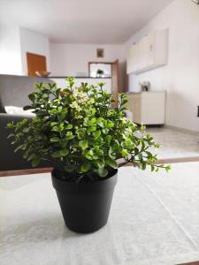 Fotografia z galérie ubytovania Guesthouse Varnica v destinácii Kaštela