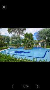 una gran piscina azul con árboles en el fondo en Sorrento Maison Lurò, en Sorrento
