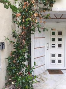 une porte vers une maison avec une plante qui s'y développe dans l'établissement Xsoma Flats "Studio", à Thessalonique